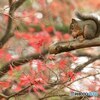 お食事中です Ⅱ