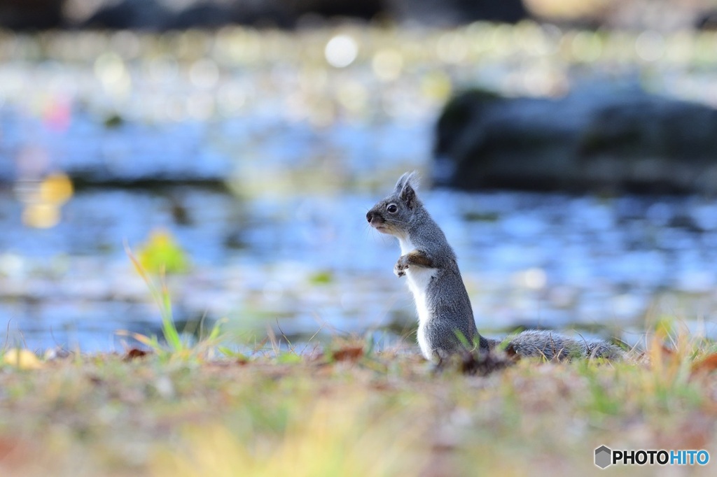 天気が^^良いけど^^寒いよ^^