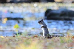 天気が^^良いけど^^寒いよ^^