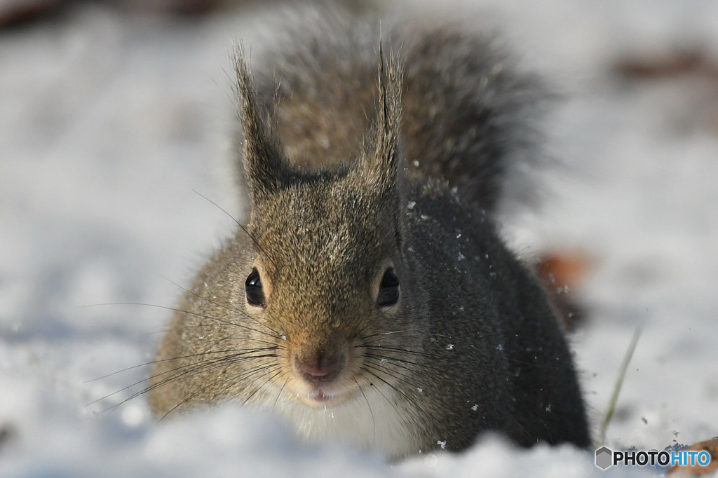 雪のち晴れの日
