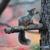 あっちで食べよう