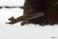 雪を蹴って^^