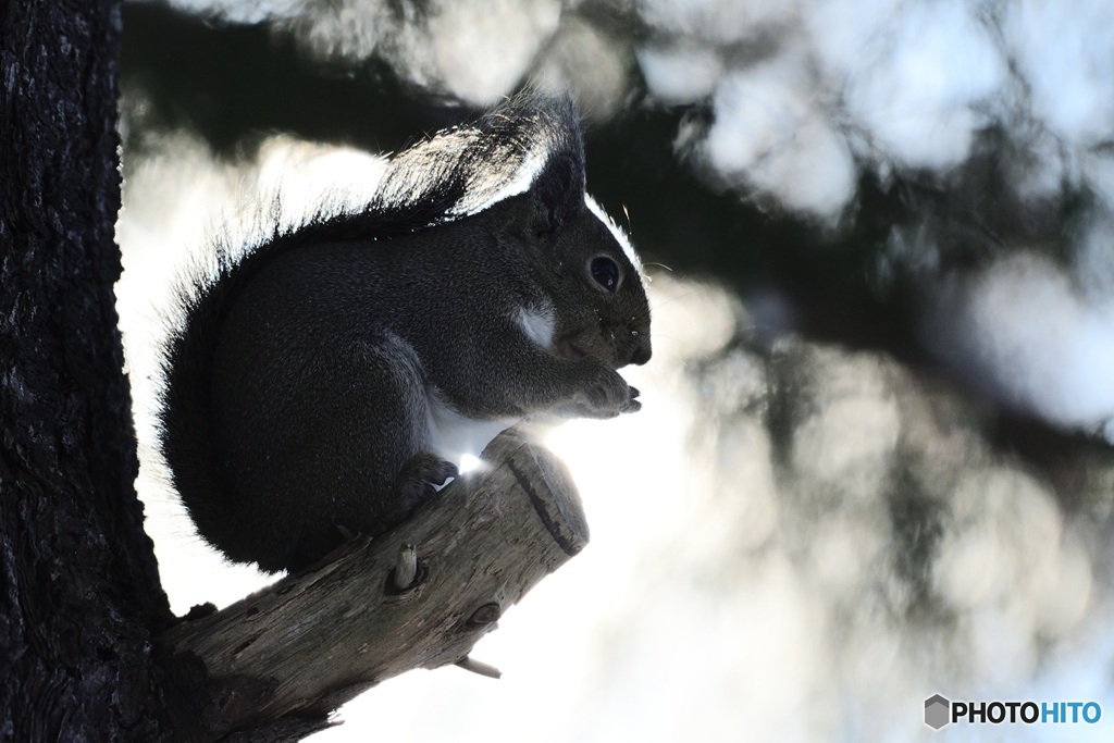 今年いちばん^^さむい^^