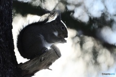 今年いちばん^^さむい^^