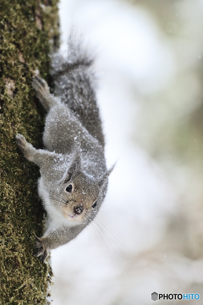 こっち^^おいでよ^^