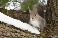 雪だよ!!