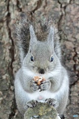 なにを^^食べていますか？^^