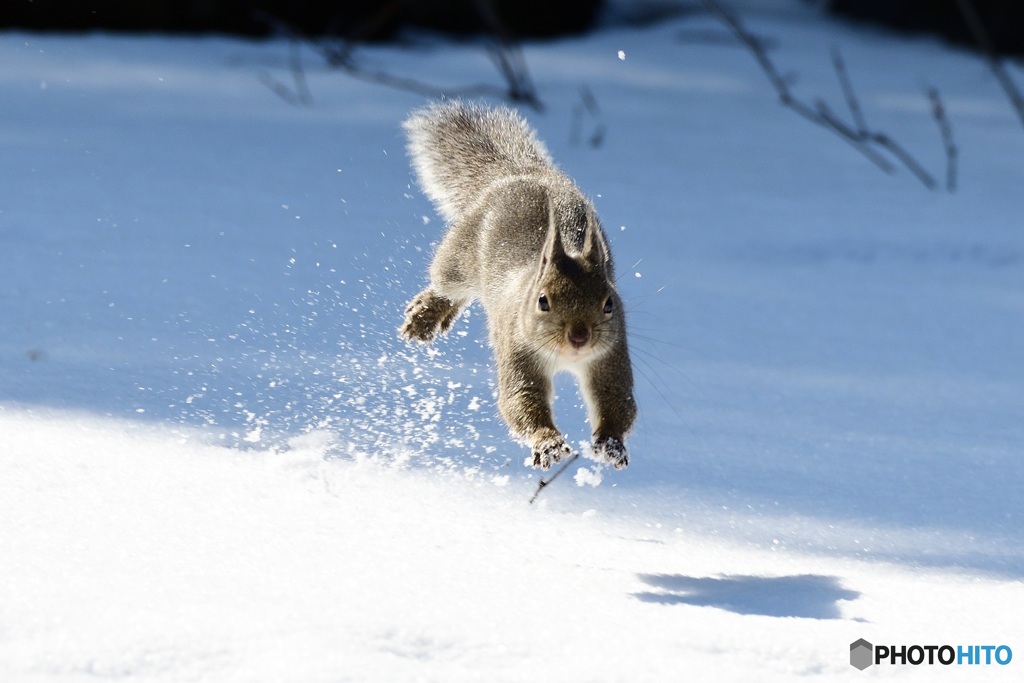 まだまだ 雪あるよ^^