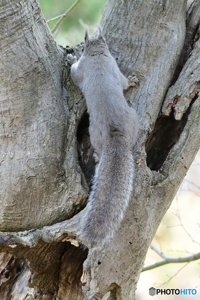 なぁーにしてますかー^^