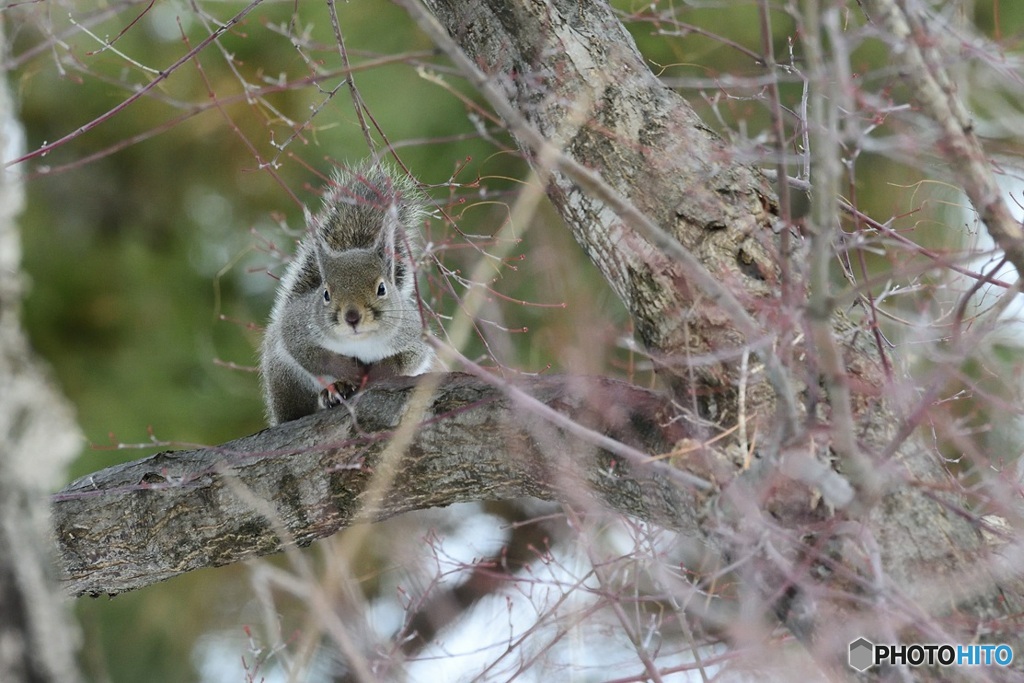 ちょっと^^おすまし^^