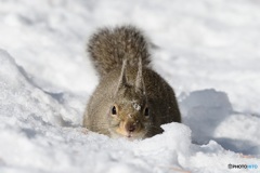 雪 どっさり降ったよ^^