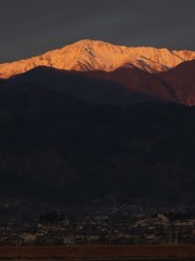 朝日に輝く