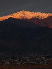 朝日に輝く