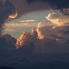 夕陽に照らされて 1
