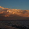 海辺にて 1