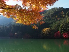 湖畔の紅葉 1