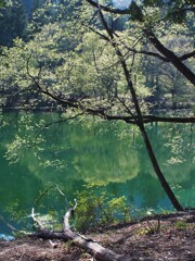 湖畔の風景 4