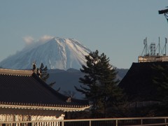 冬晴れ
