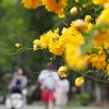 ショッピングモールにて 2