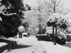 雪の小径