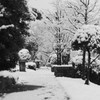 雪の小径