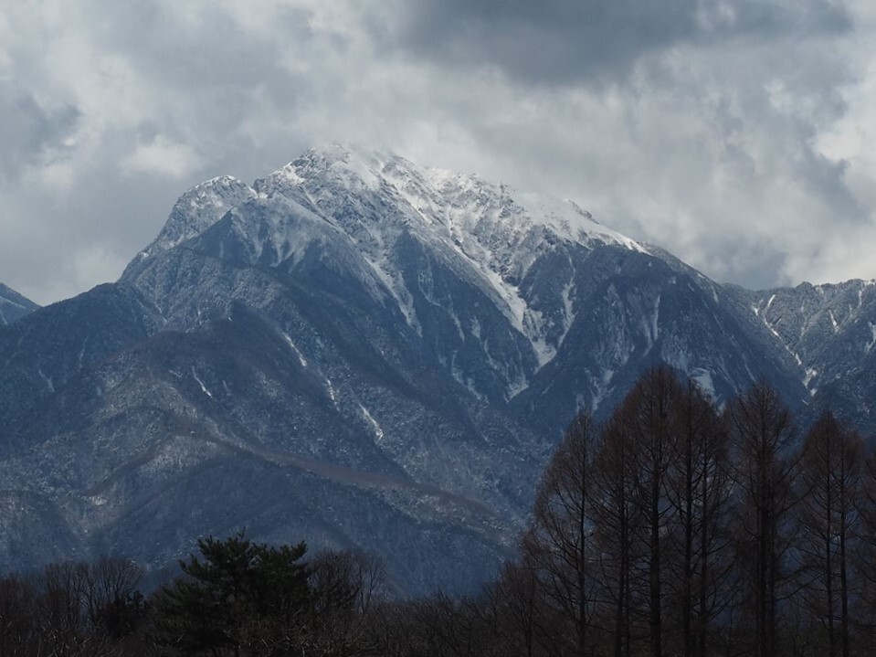 春の雪 1