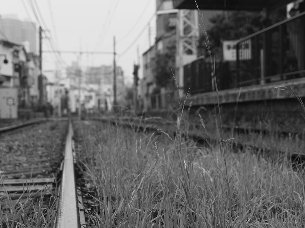 都電は線路ものんびり