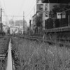 都電は線路ものんびり