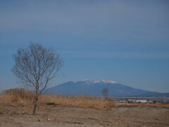 河原の散歩 3