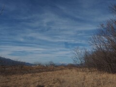 八ヶ岳遠景