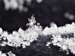 雪の結晶 2
