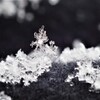 雪の結晶 2
