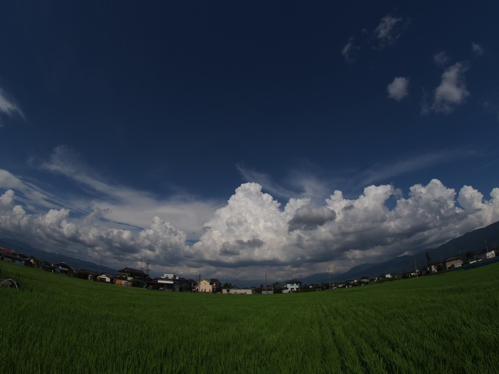 夏雲に誘われて 2
