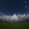 夏雲に誘われて 2