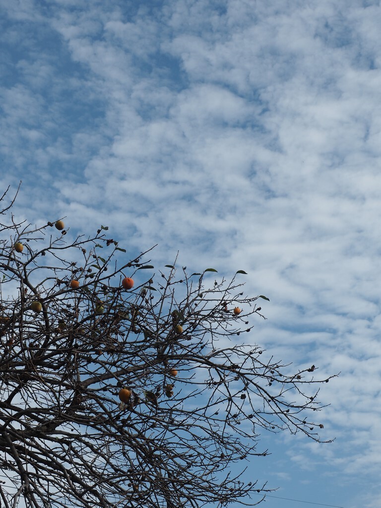 秋空