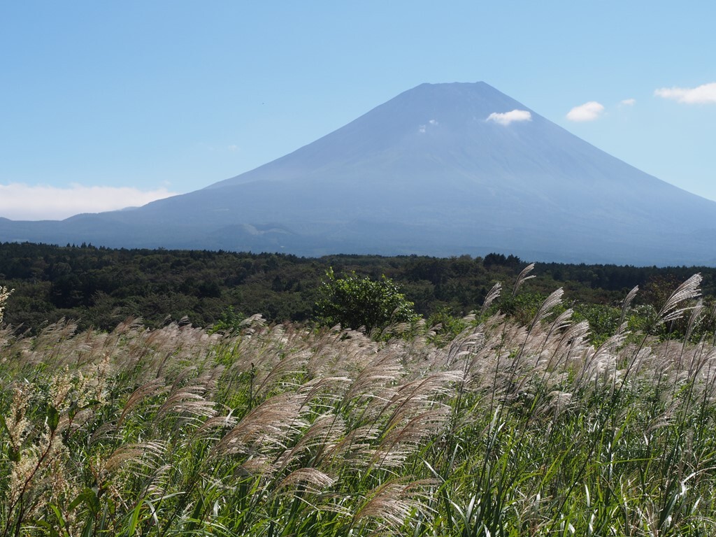 高原の秋