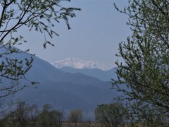 春の山