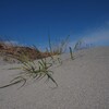 河原の散歩 2
