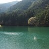 湖畔の風景 1