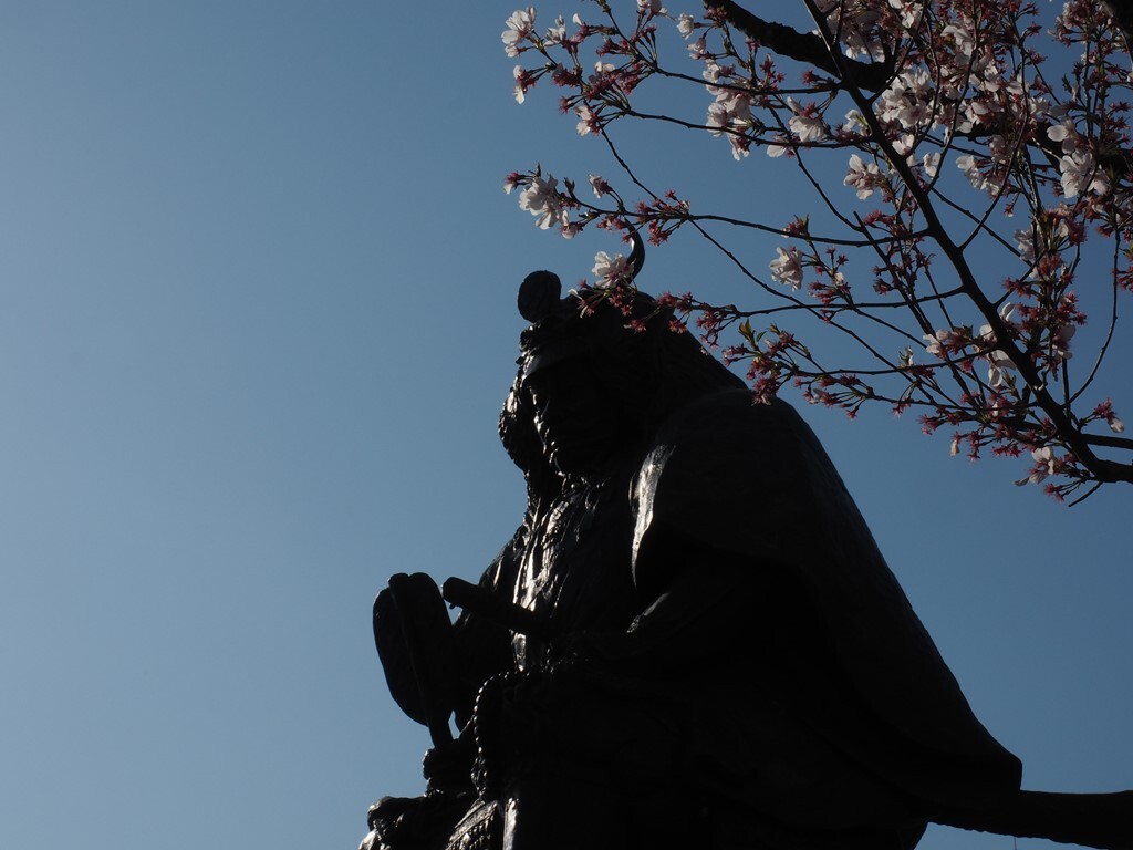 春