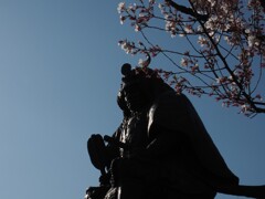 春