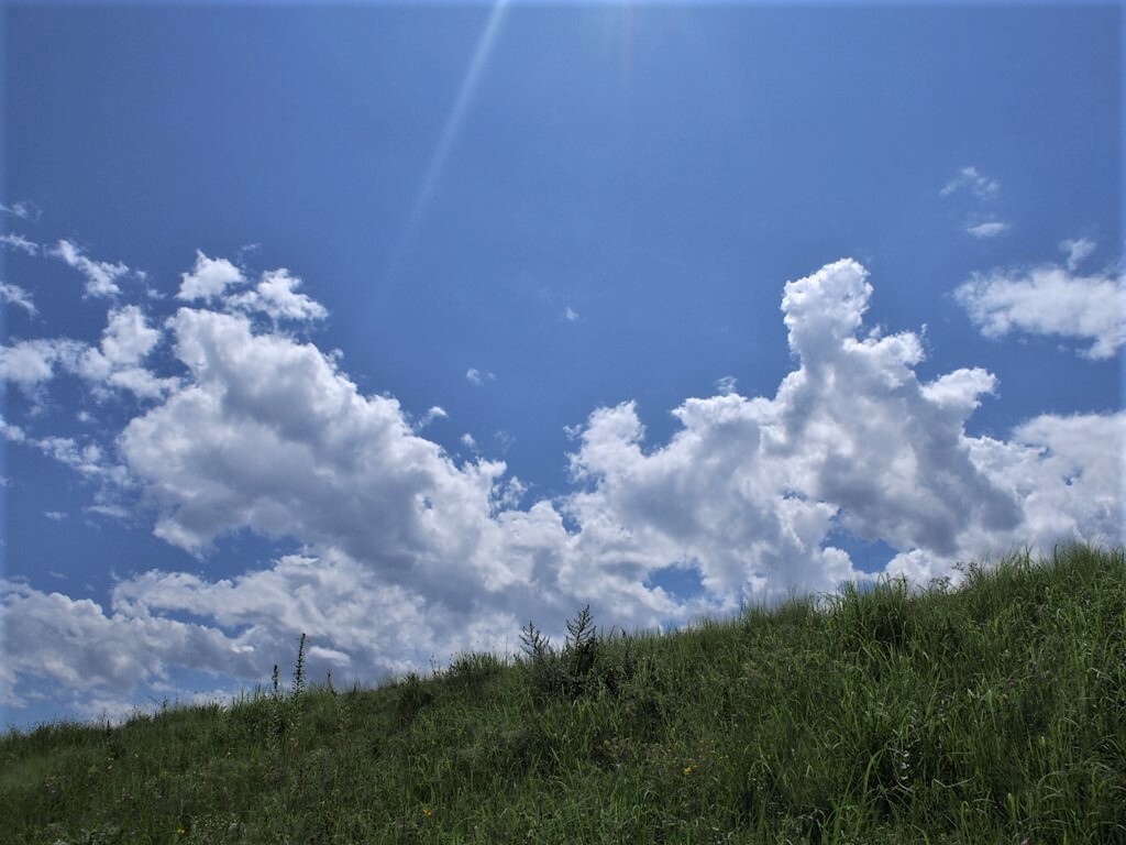 夏が来た！ 3