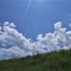 夏が来た！ 3