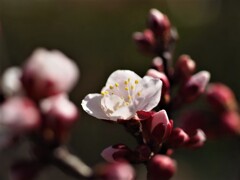 今年ものんびり