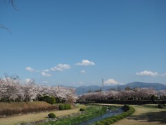 のどかな日