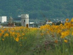 お城への小径