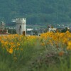 お城への小径