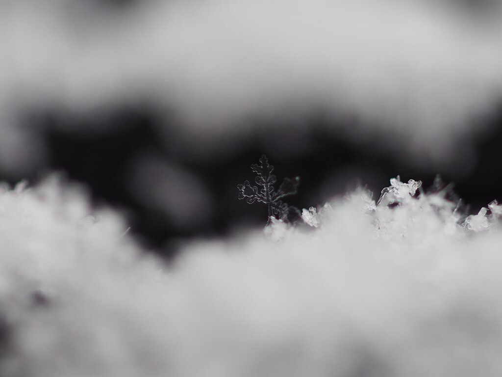 雪の結晶 1