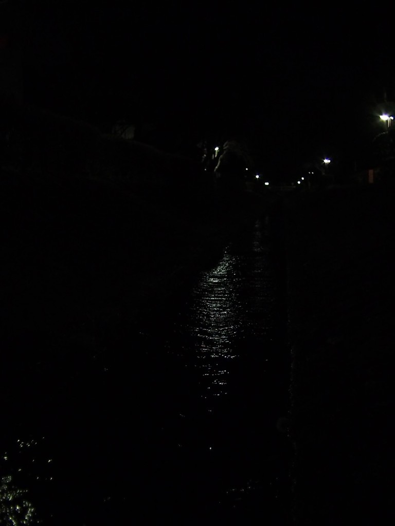 夜の小川 1