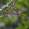 水滴